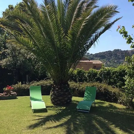 Sant Andrea Apartment Piazza Armerina