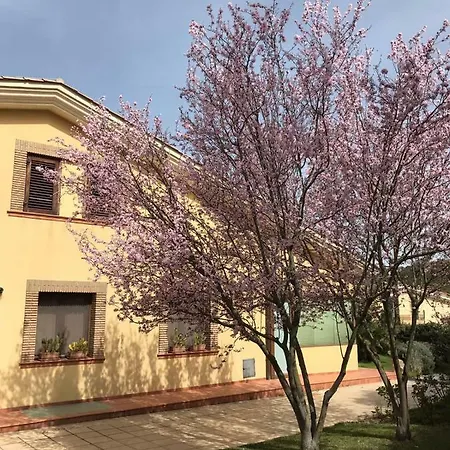 Sant Andrea Apartment