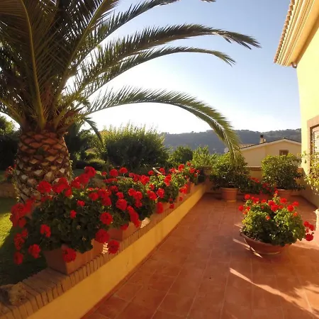 Apartment Sant Andrea *
